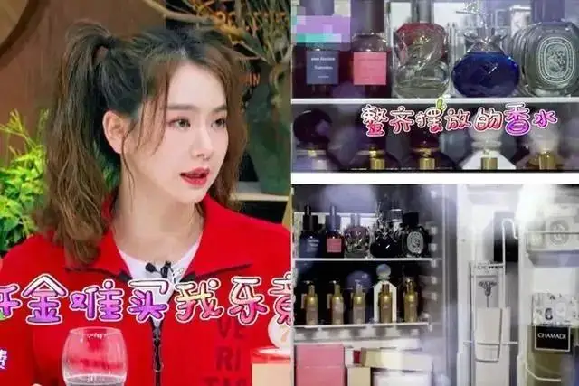二线明星能有多有钱? 二线明星能有多有钱?