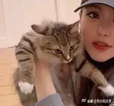 周扬青去欧阳娜娜家吸猫,周扬青国庆旅行vlog 周扬青去欧阳娜娜家吸猫,周扬青国庆旅行vlog
