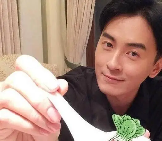 在内地混得风生水起,回台湾就糊了,5位男星的经历让人意难平 在内地混得风生水起,回台湾就糊了,5位男星的经历让人意难平