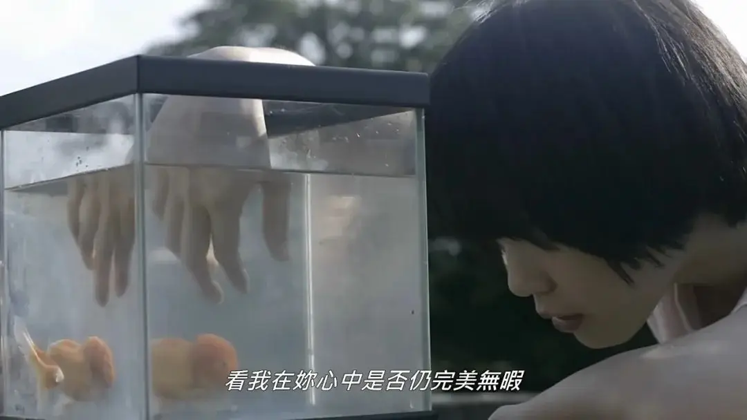 自动草稿