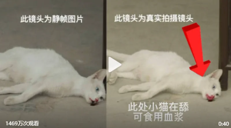 自动草稿 自动草稿