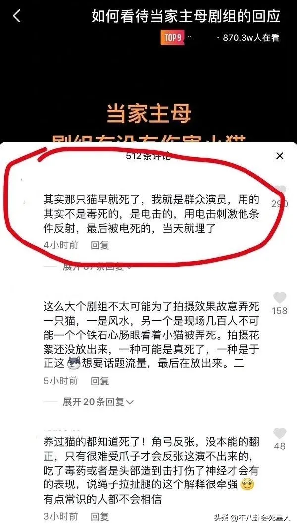 自动草稿 自动草稿