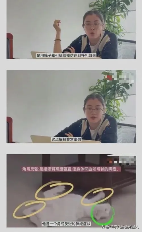 自动草稿 自动草稿
