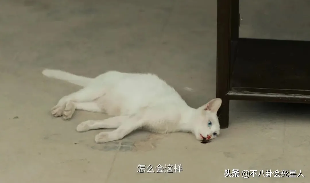 自动草稿 自动草稿