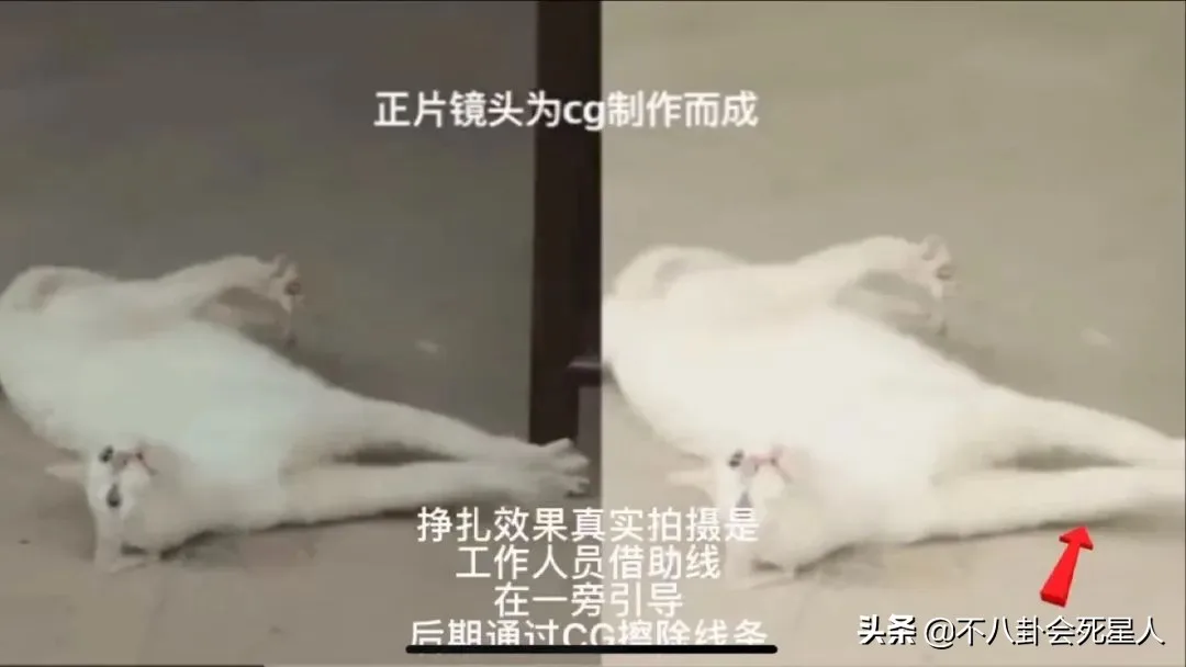 自动草稿 自动草稿
