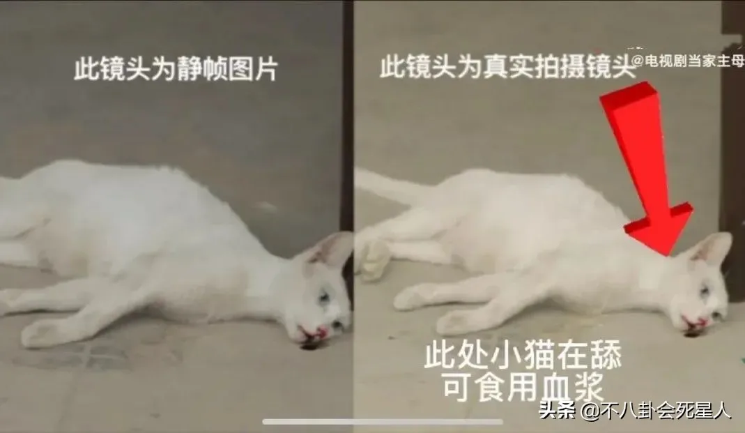 自动草稿 自动草稿