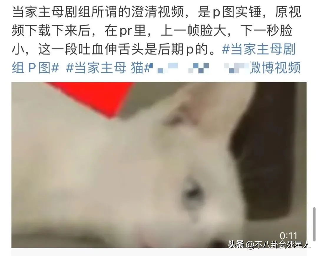 自动草稿 自动草稿
