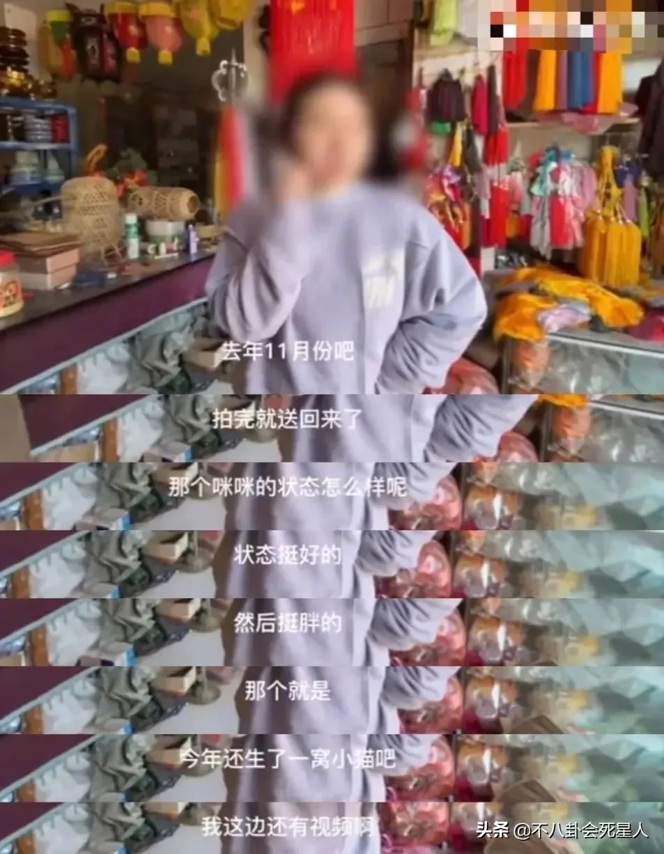 自动草稿 自动草稿