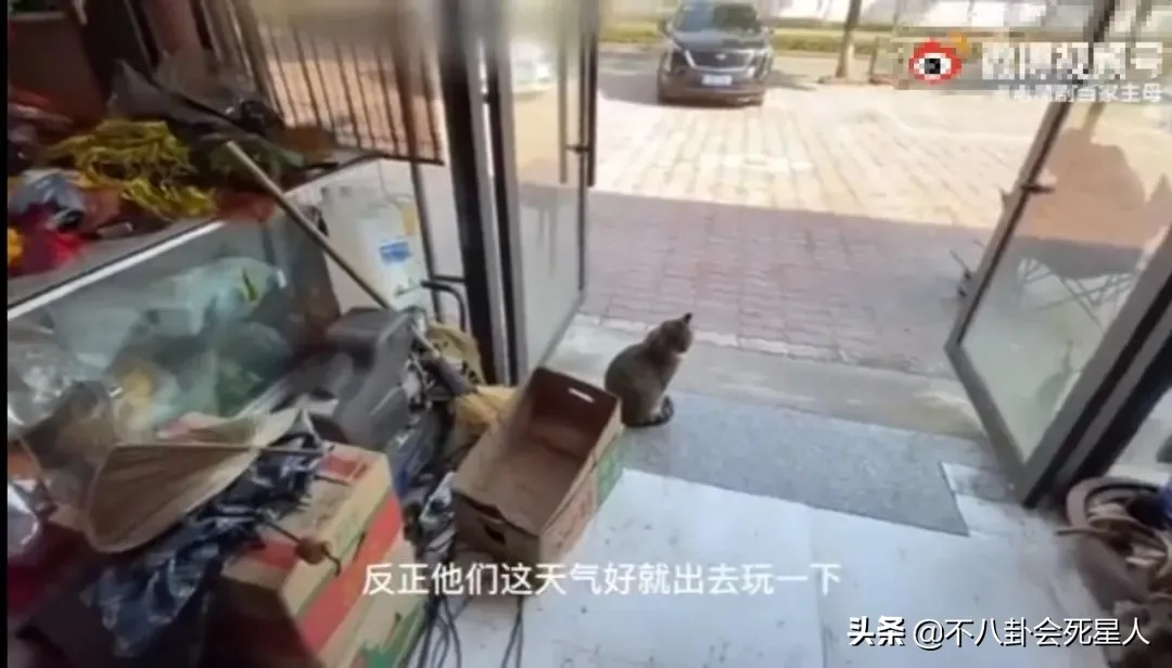 自动草稿 自动草稿