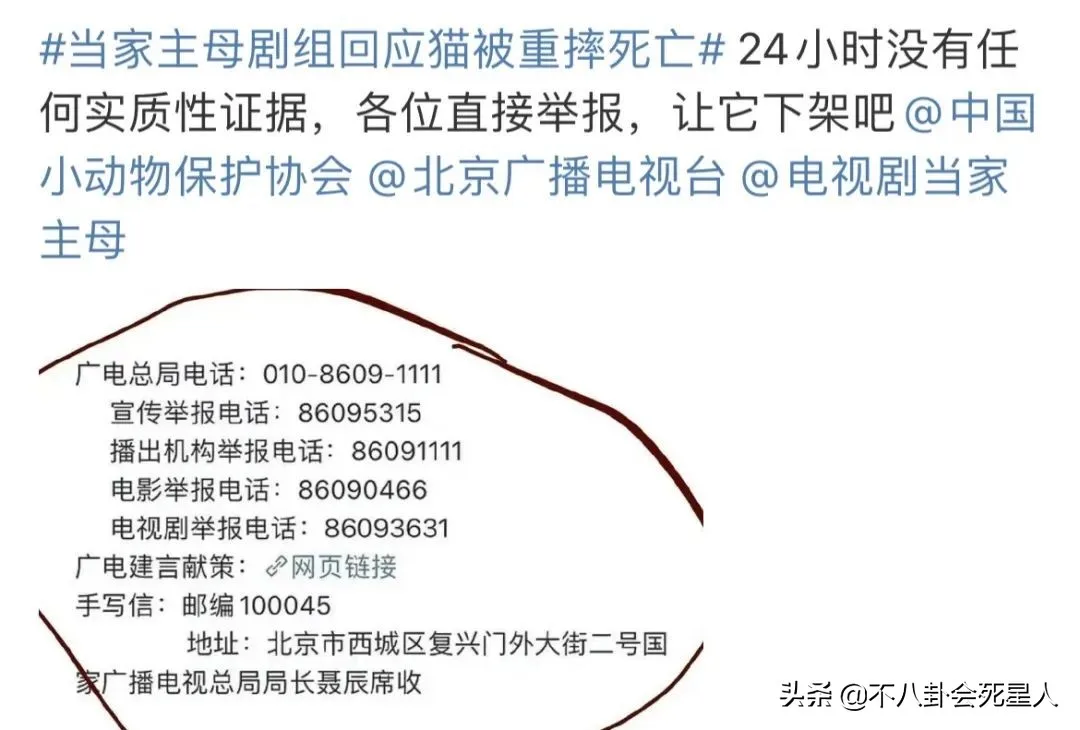 自动草稿 自动草稿