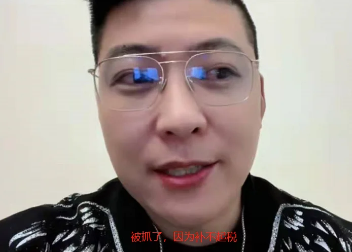 曝知名主播刘某刀被抓！因补不起20亿元大额税款，演员刘涛被误伤