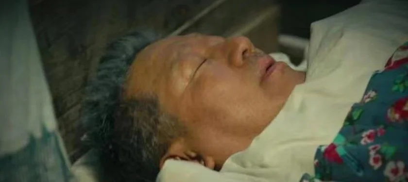 《人世间》的坎坷一生,周秉昆入狱,周秉义因病去世,周蓉再婚 《人世间》的坎坷一生,周秉昆入狱,周秉义因病去世,周蓉再婚