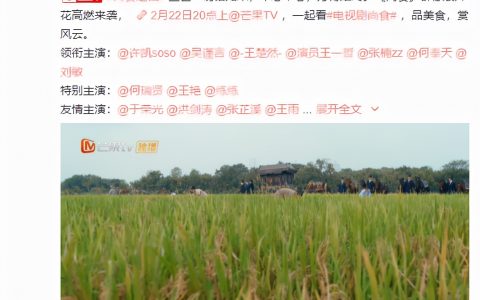 《尚食》官宣定档，湖南卫视上星失败，于正剧“假空旧”不容回避