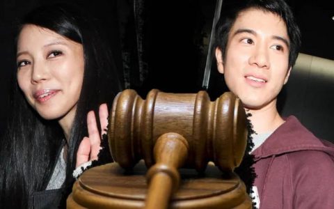 王力宏与李靓蕾的离婚案关于抚养探视权的开庭