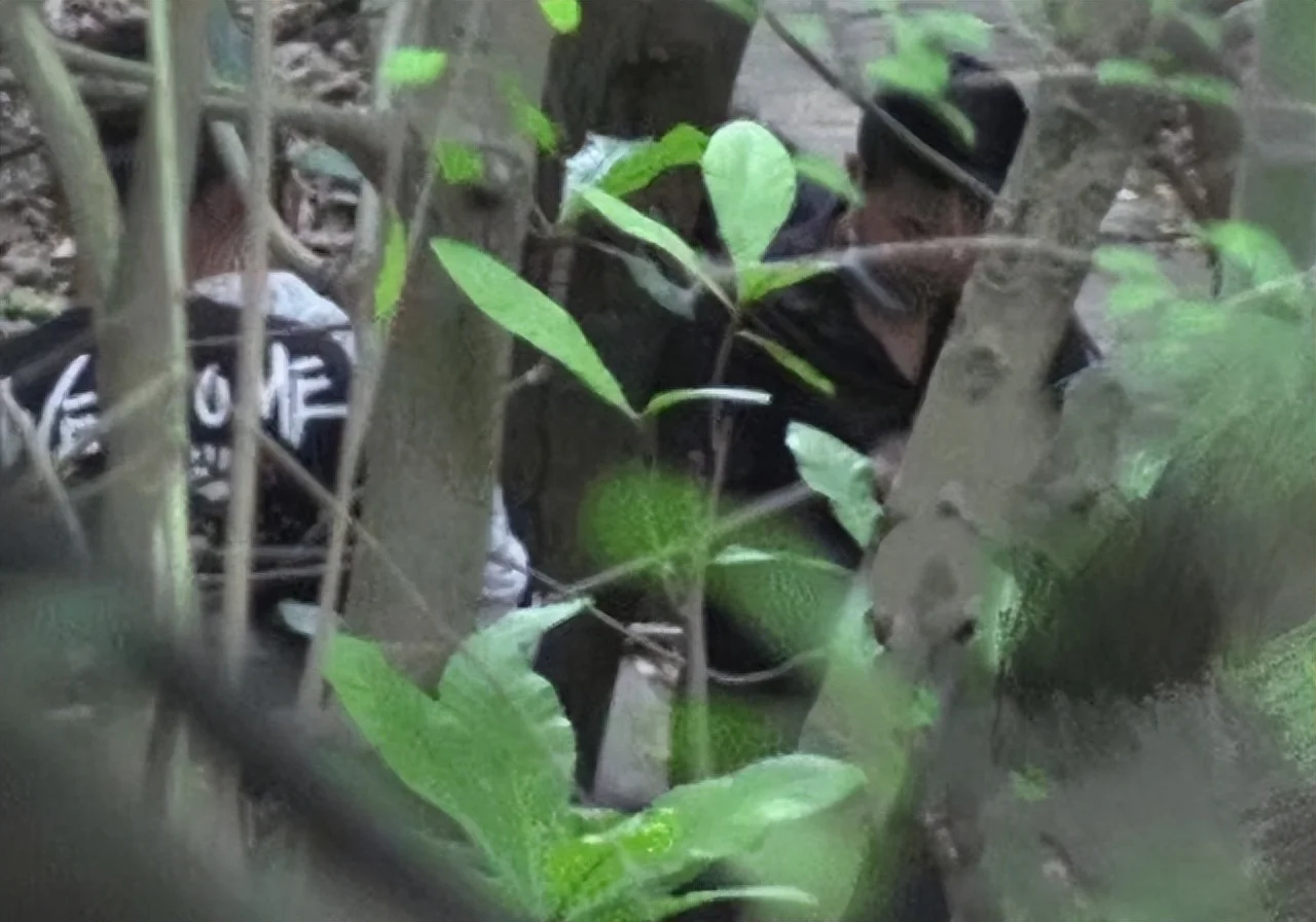 男子直播泄露《仙剑4》拍摄画面，被剧组人员抓起来绑在树上训斥