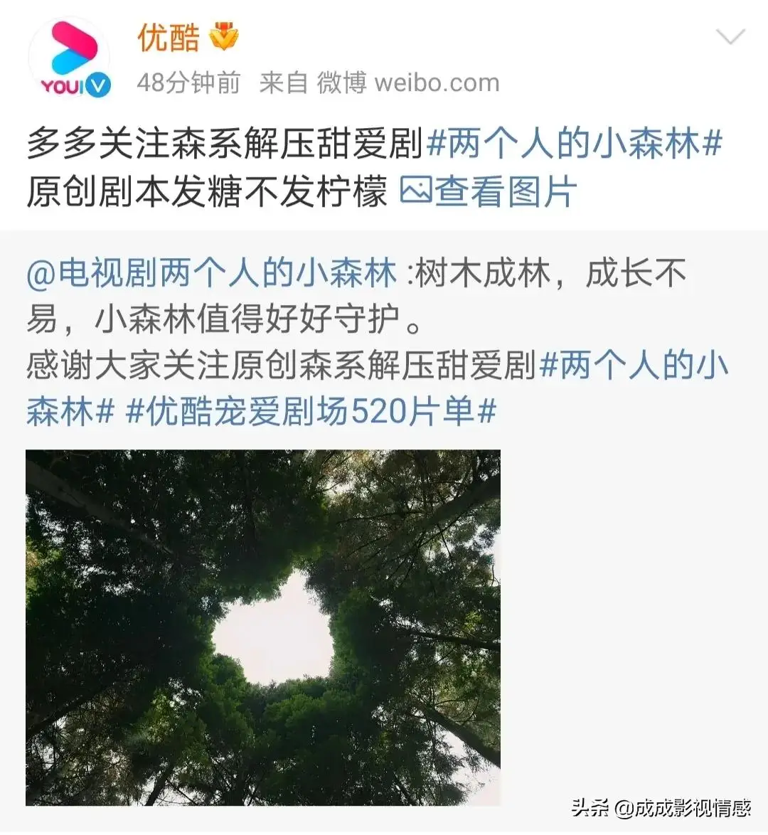 笑死!《且试天下》官微内涵优酷遭犀利回怼,网友:干得漂亮 笑死!《且试天下》官微内涵优酷遭犀利回怼,网友:干得漂亮