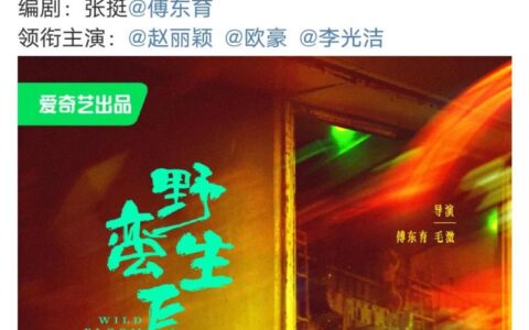 赵丽颖新剧《野蛮生长》：映照未来版海报发布