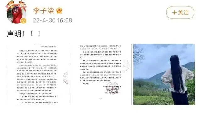 还会再见吗，李子柒