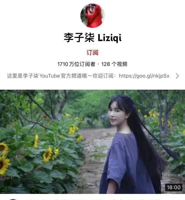 还会再见吗，李子柒