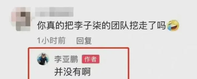 还会再见吗，李子柒
