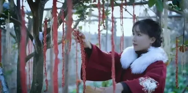 还会再见吗，李子柒