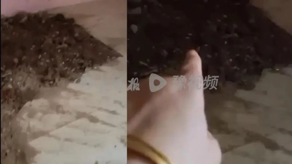 男子杀妻埋尸院中 15 年:对外谎称妻子与人私奔,曾 2 次提起离婚诉讼被拒 男子杀妻埋尸院中 15 年:对外谎称妻子与人私奔,曾 2 次提起离婚诉讼被拒
