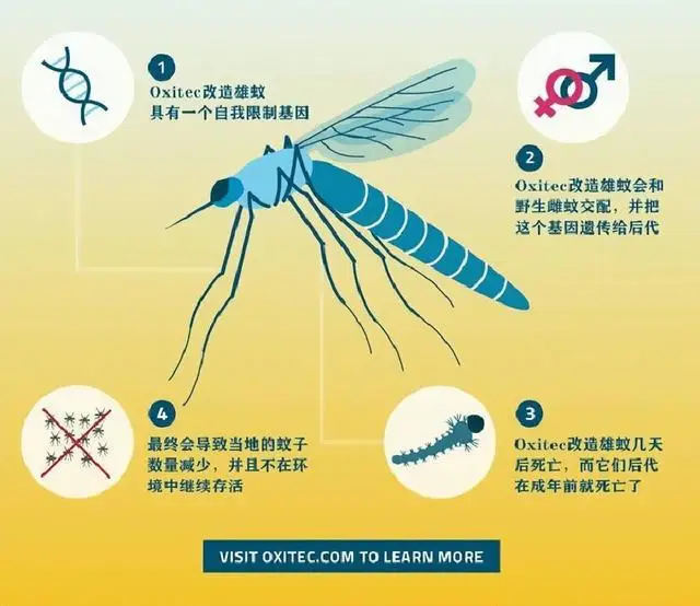 人大代表提议全面消灭蚊子！如果蚊子全部灭绝了，到底有多可怕？