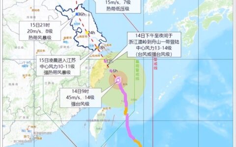 台风梅花登陆：狂风大作 暴雨横飞,梅花超强台风