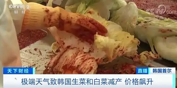 这里的麦当劳,汉堡里没生菜了?!多家知名快餐店宣布:断供 这里的麦当劳,汉堡里没生菜了?!多家知名快餐店宣布:断供