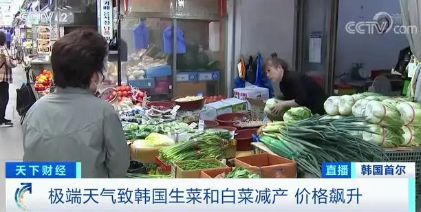 这里的麦当劳,汉堡里没生菜了?!多家知名快餐店宣布:断供 这里的麦当劳,汉堡里没生菜了?!多家知名快餐店宣布:断供