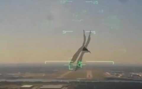 美军机迎头与鸟相撞后坠落居民区，视频曝光