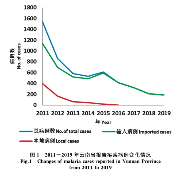 新冠三度流行，登革热等传染病时有输入，瑞丽如何守好边关？