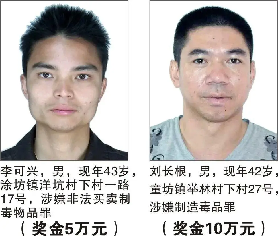 悬赏缉捕！最高奖励 50 万元！