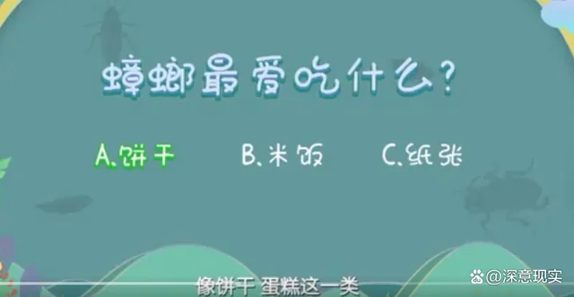 1只蟑螂1年可繁衍出1000万只蟑螂,死后其卵鞘仍然是“活着”的 1只蟑螂1年可繁衍出1000万只蟑螂,死后其卵鞘仍然是“活着”的