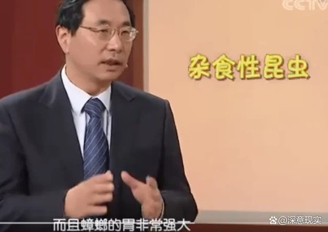 1只蟑螂1年可繁衍出1000万只蟑螂,死后其卵鞘仍然是“活着”的 1只蟑螂1年可繁衍出1000万只蟑螂,死后其卵鞘仍然是“活着”的
