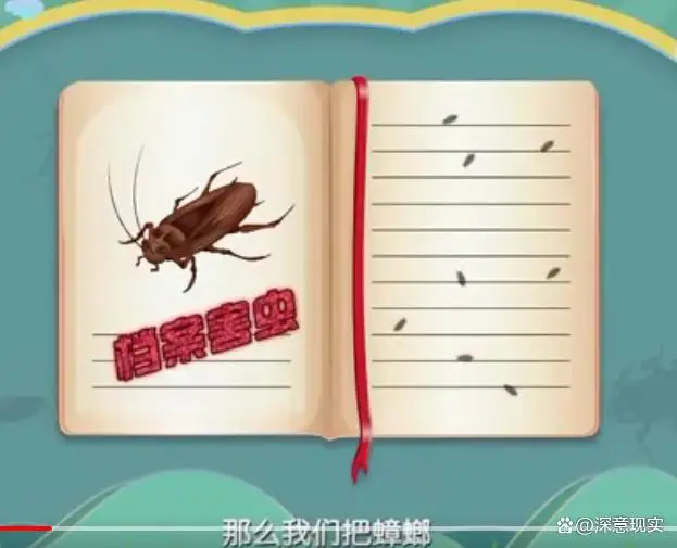 1只蟑螂1年可繁衍出1000万只蟑螂,死后其卵鞘仍然是“活着”的 1只蟑螂1年可繁衍出1000万只蟑螂,死后其卵鞘仍然是“活着”的