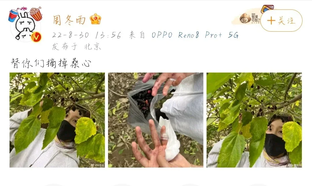 周冬雨疑违反北京管理条例？与妈妈闲暇逛公园，高片酬却随意采摘果子