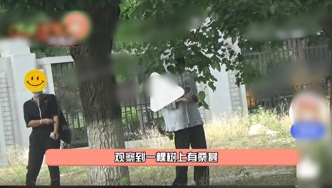 周冬雨疑违反北京管理条例？与妈妈闲暇逛公园，高片酬却随意采摘果子