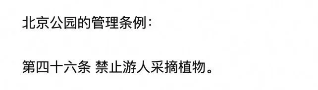 周冬雨疑违反北京管理条例？与妈妈闲暇逛公园，高片酬却随意采摘果子