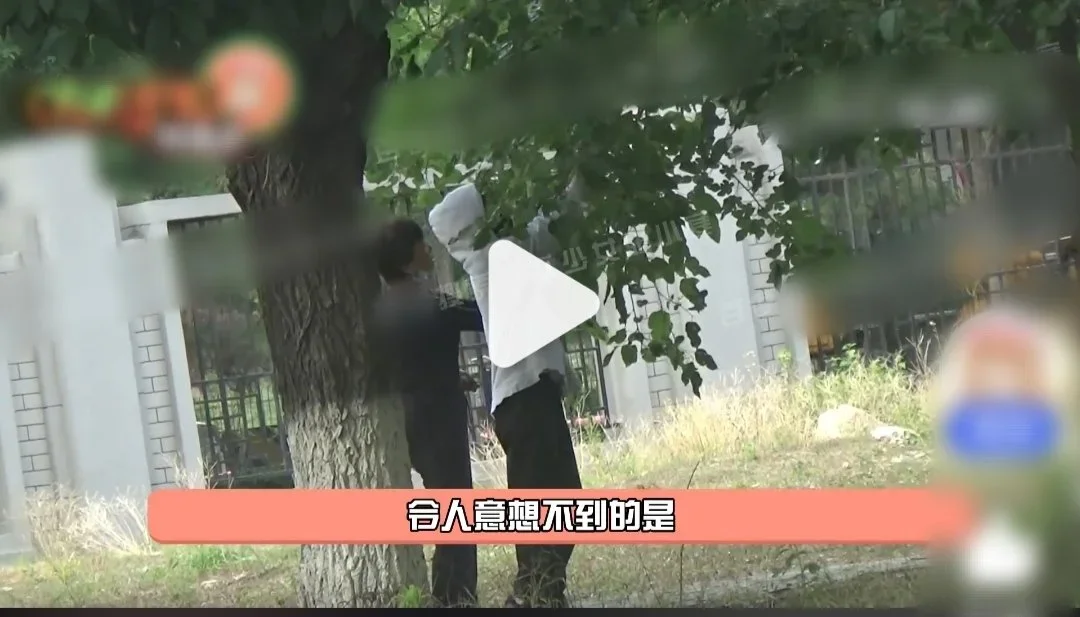 周冬雨疑违反北京管理条例？与妈妈闲暇逛公园，高片酬却随意采摘果子
