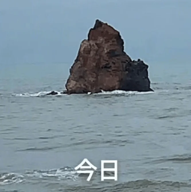 自动草稿