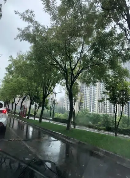 冷冷冷!西安“一秒入冬 ”!为何今年寒潮来得这么早? 冷冷冷!西安“一秒入冬 ”!为何今年寒潮来得这么早?