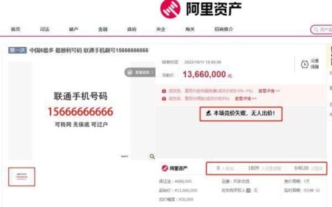 靓号15666666666因无人出价流拍