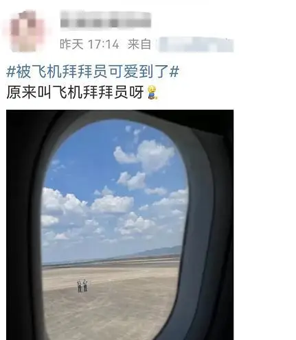 “飞机拜拜员”回应意外走红 网友：被可爱到了