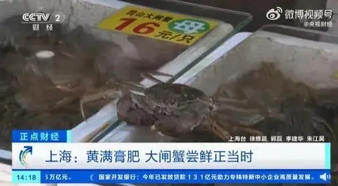 大闸蟹价格雪崩？这些地方比上月便宜一半，销量也大幅上升