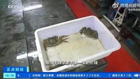 大闸蟹价格雪崩？这些地方比上月便宜一半，销量也大幅上升