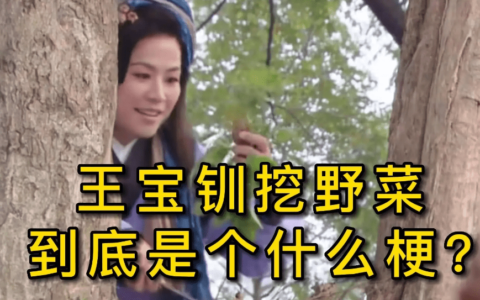 王宝钏恋爱脑突然走红，宣萱躺枪，陈浩民蹭热度遭吐槽后又道歉