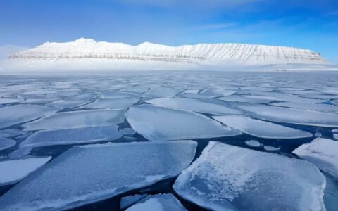 科学家称气候变暖或致北极病毒溢出，网友称万物皆有规律不用悲观