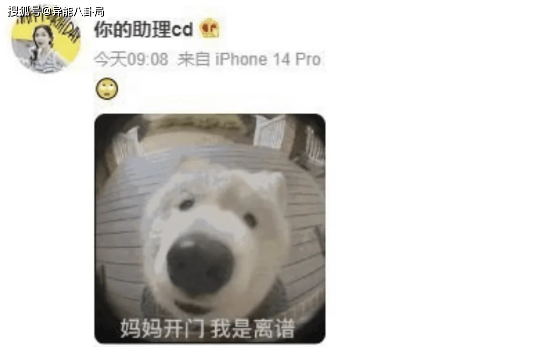 baby新恋情？苏醒出轨？汪小菲秀恩爱？宋慧乔车银优官宣？