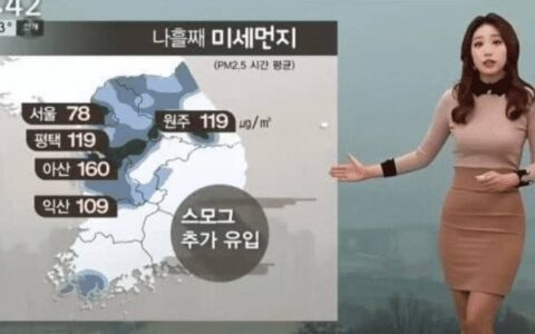 韩国和朝鲜天气预报女主持人的对比，为了“收视率”真是不择手段